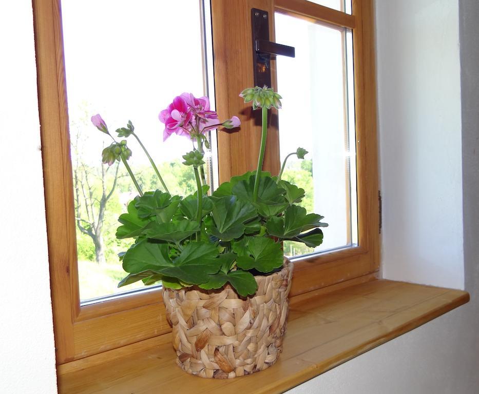 Farma Růžová Vila Exterior foto